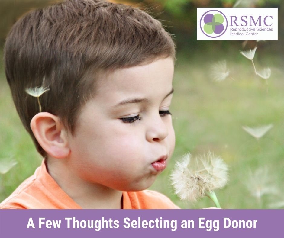 A Few Thoughts Selecting an Egg Donor