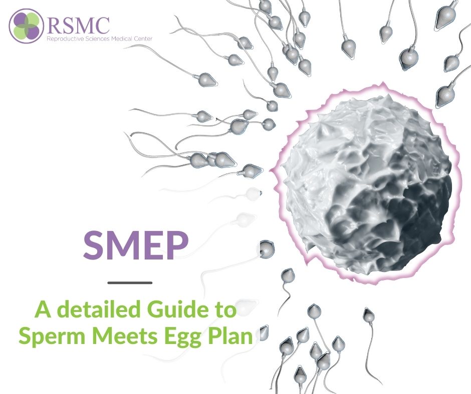SMEP - Sperm Meets Egg Plan | How Does It Work?