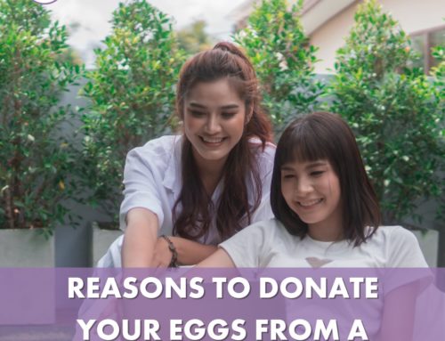 5 Reasons to Donate Your Eggs: From a Donor’s Point of View