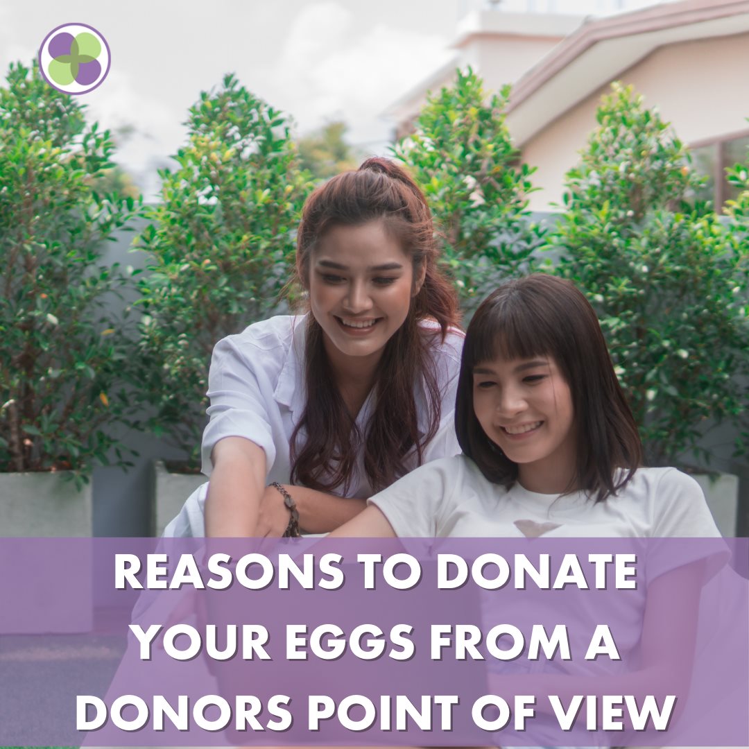 5 Reasons to Donate Your Eggs - A Donor’s Point of View 1
