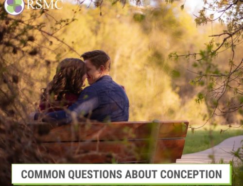 Common Questions About Conception