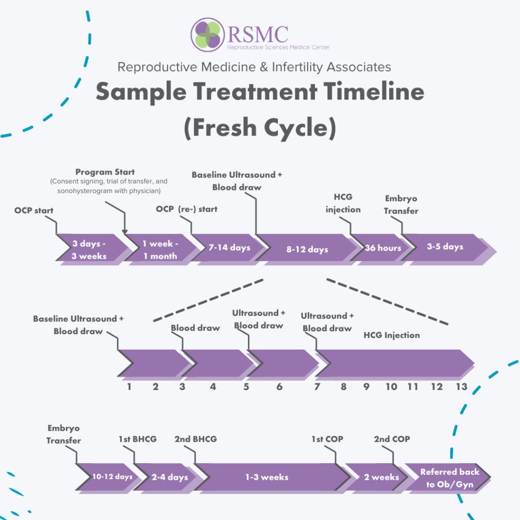 Standard IVF process timeline