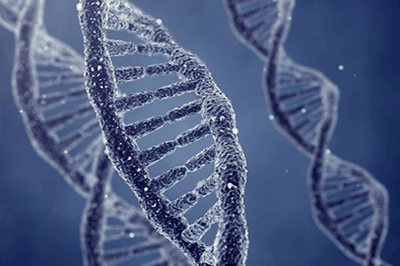 fertility DNA