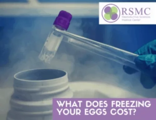 How Much Does Egg Freezing Cost?