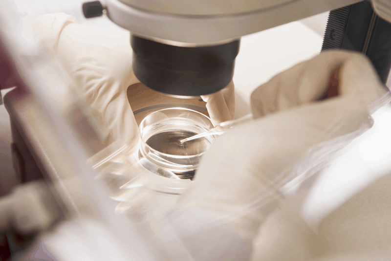 assisted-egg-hatching-san-diego-fertility embryo hatching