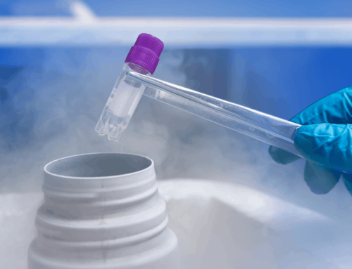 10 Things to Know About Frozen Embryo Transfer