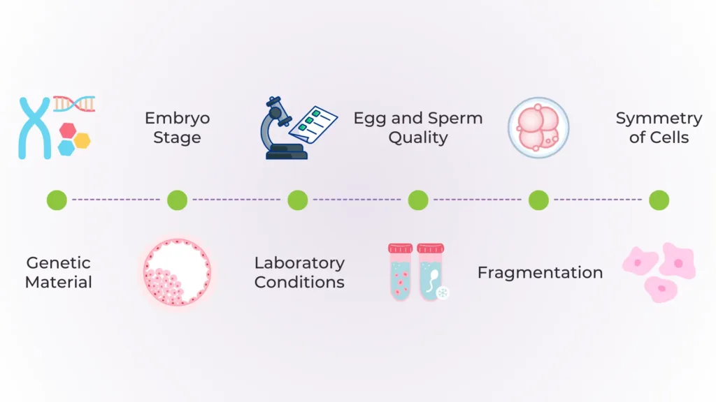 embryo grading system