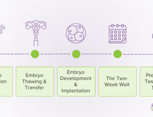 How the Next Few Weeks of Your Embryo Transfer Timeline May Look