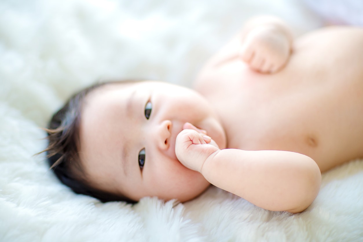 Baby Egg Donation Option