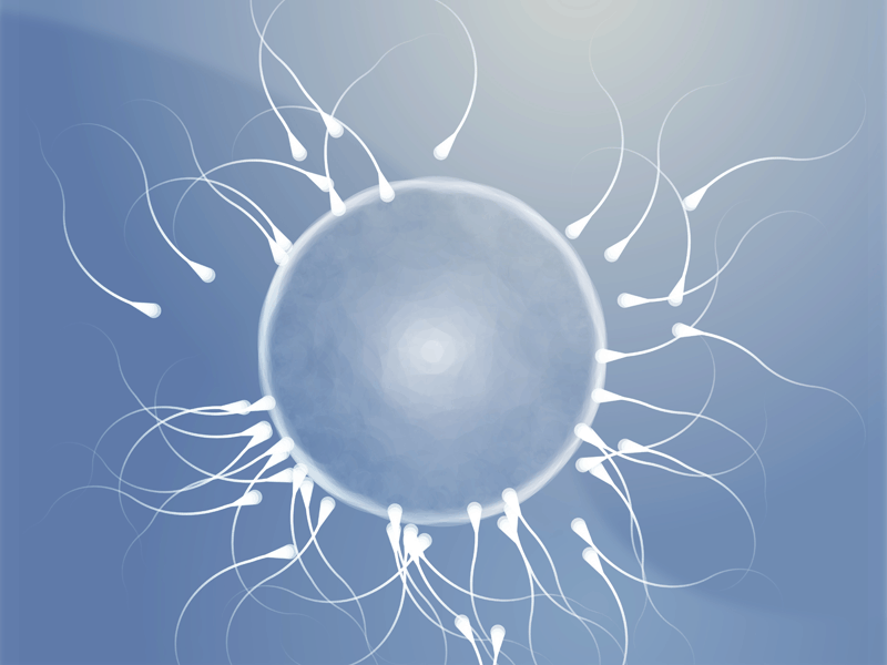 SMEP - Sperm Meets Egg Method | How It Works?