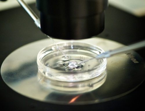 How to detect the right clinic and IVF lab?