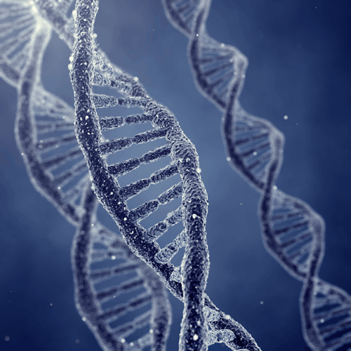 pgs-and-pgd-accruate-testing-in-san-diego pgs fertility treatment