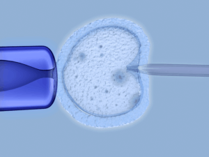 san-diego-best-ivf-center-for-fertility san-diego-best-ivf-center