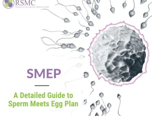 SMEP or Sperm Meets Egg Plan