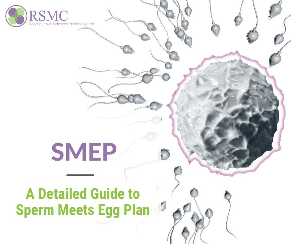 A detailed guide to sperm meets egg plan